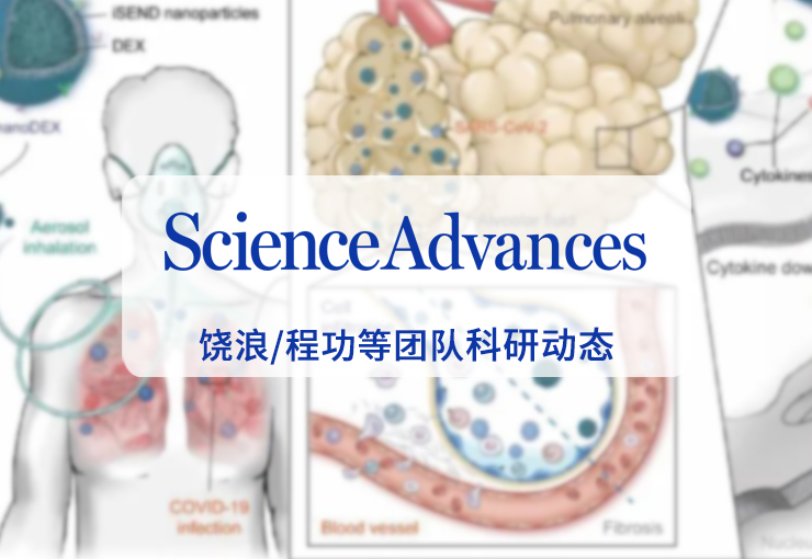 Sci. Adv. | 饶浪/程功等团队：抗新冠肺炎地塞米松纳米吸入制剂