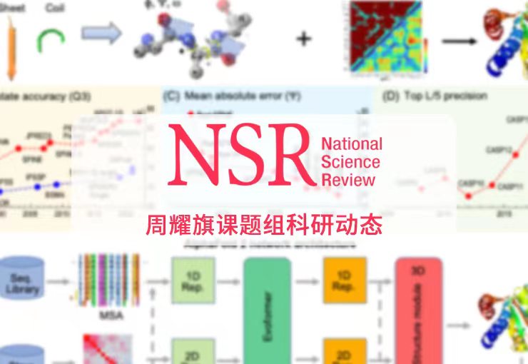 National Science Review | 3=1+2：分割是如何攻克蛋白质结构预测的？下一步将走向何方？
