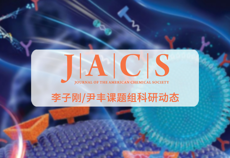 JACS封面论文 | 李子刚/尹丰课题组在蛋白质降解领域取得新进展