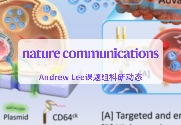 Nature Communications | Andrew Lee团队开发用于实体肿瘤治疗的新型双靶向细胞外囊泡递送平台